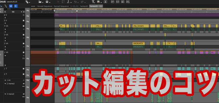 EDIUS Proカット編集
